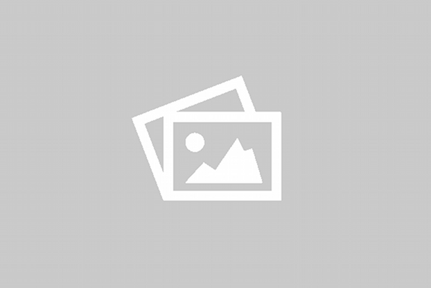 palceholder-image